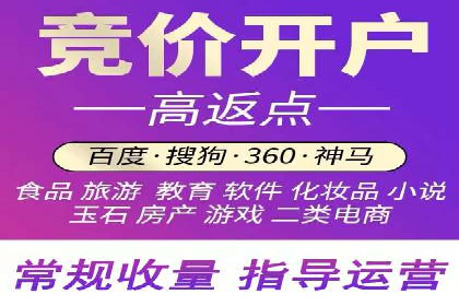 某品牌通过百度广告实现快速增长的案例