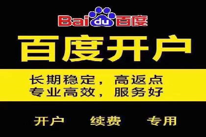 推广竞价策略优化：借鉴成功案例实现高效转化